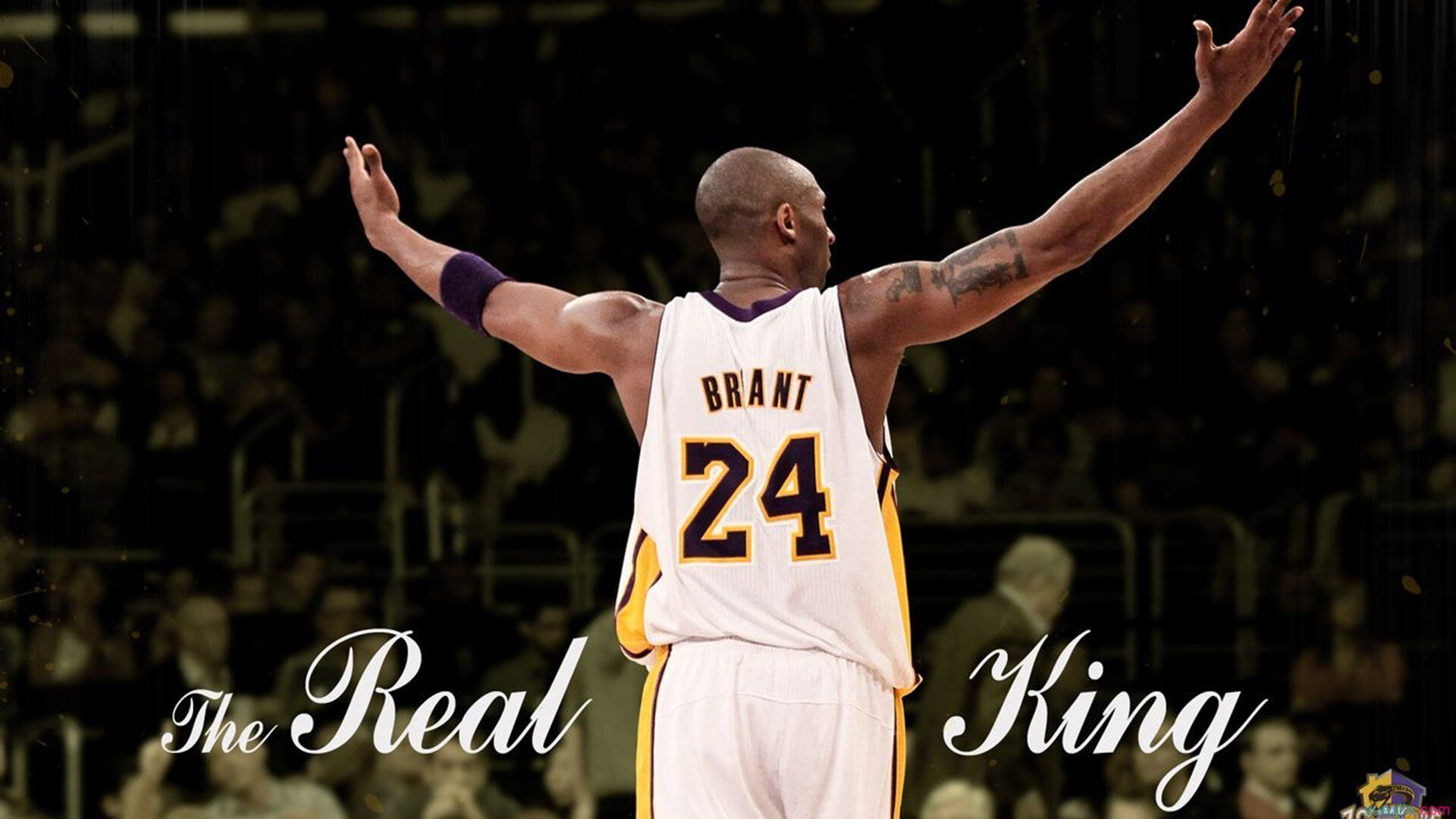 世界排名争夺战之夜，莫兰特关键节点连续得分，改写格局